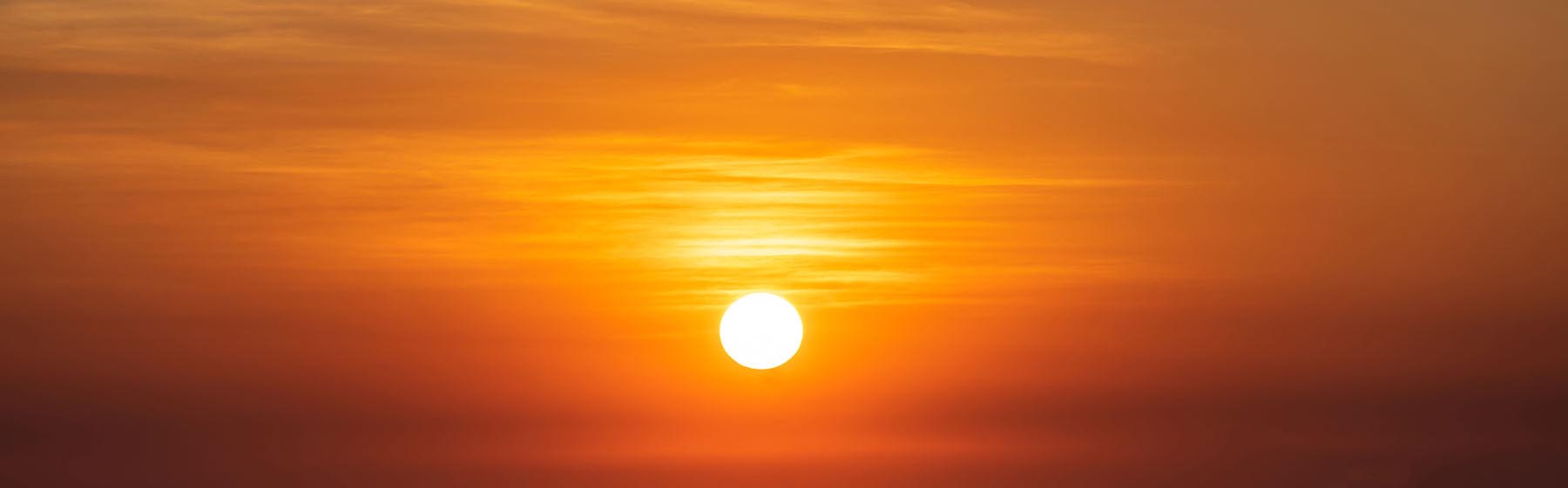 Nuestro equipo de trabajo